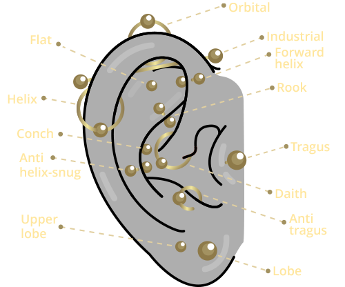 Diagram of an ear showing where each ear piercing sits