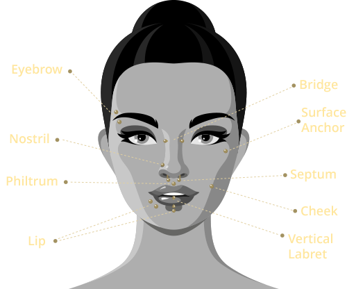 Diagram of a face showing where each facial piercing sits